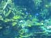 IMG_2251